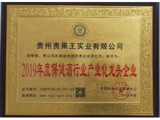 2019年度保健酒行業産業化龍頭企業